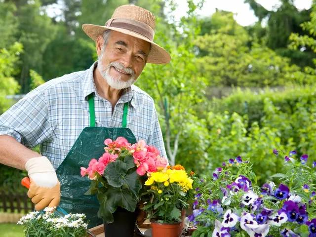 Caretaker in a hat and green apron tending flower pots in the garden